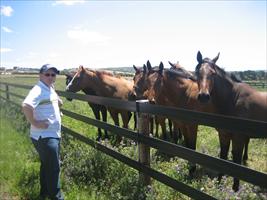 Wayne inspecting yearlings at Rosemont Stud